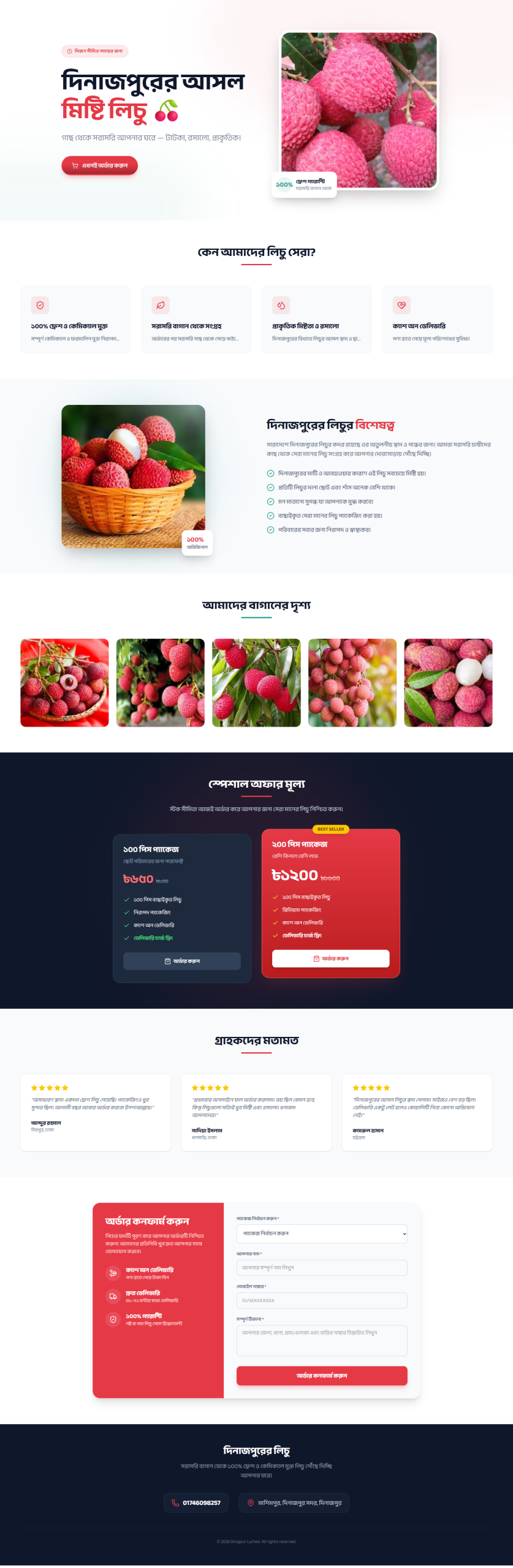 landing page 3